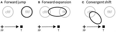 Tuning curves vs. population responses, and perceptual consequences of receptive-field remapping